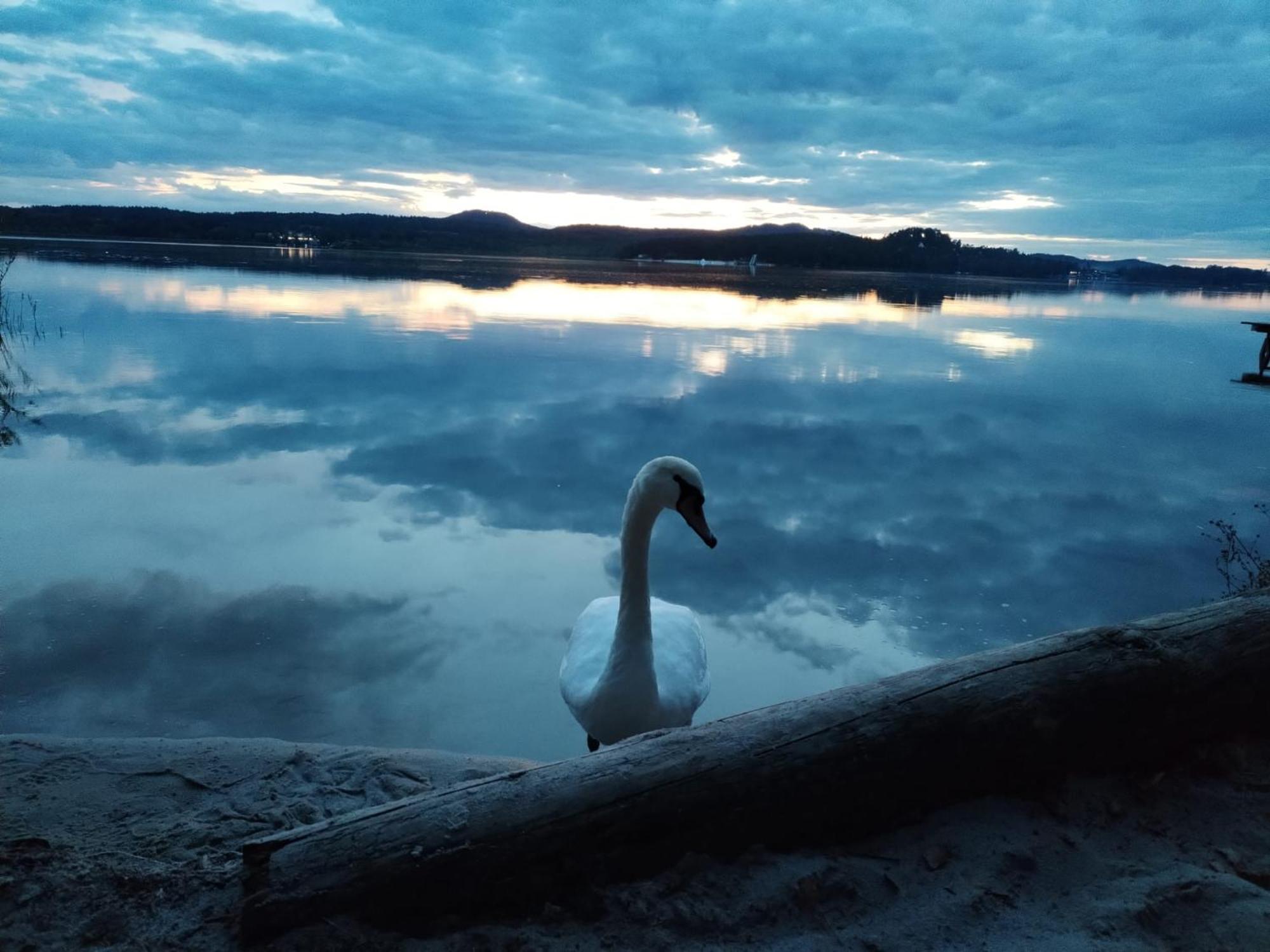 U Davida Machovo Jezero